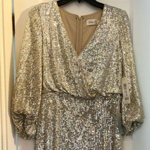 Eliza J Dress